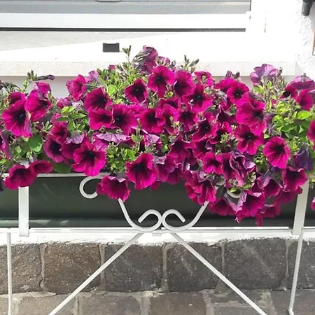 Casa Tra Gli Olivi *