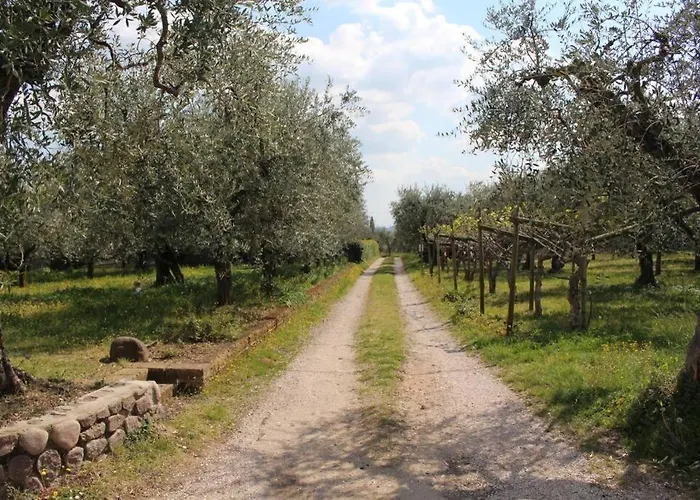 דירה Casa Tra Gli Olivi *