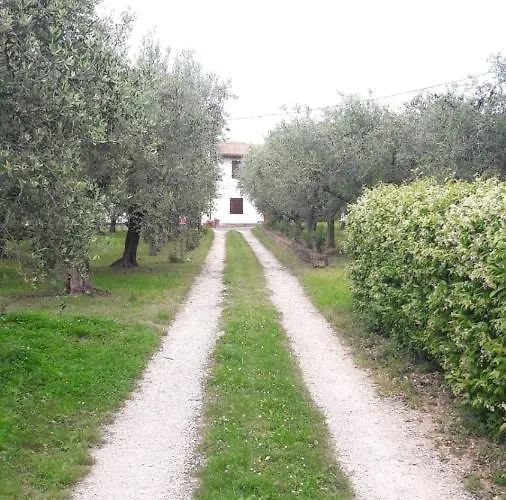 Apartmán Casa Tra Gli Olivi